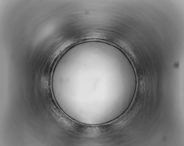 X0000089350882200706221136