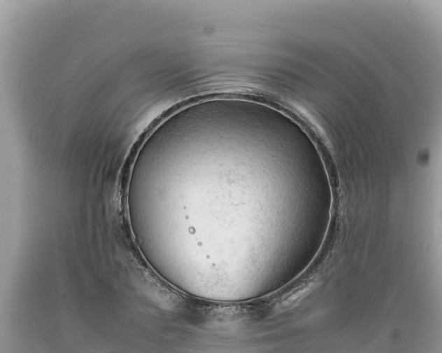X0000089350883200706221136