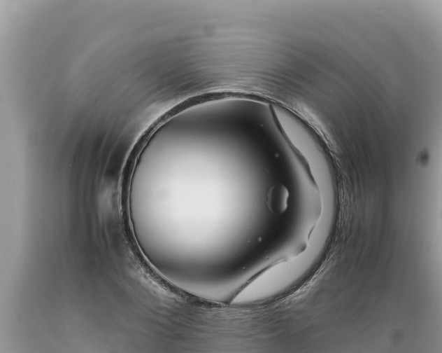 X0000089350884200706221136