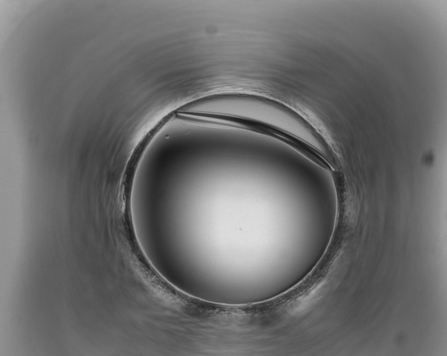 X0000089350885200706221136