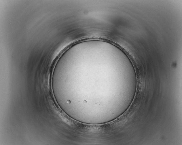 X0000089350886200706221136