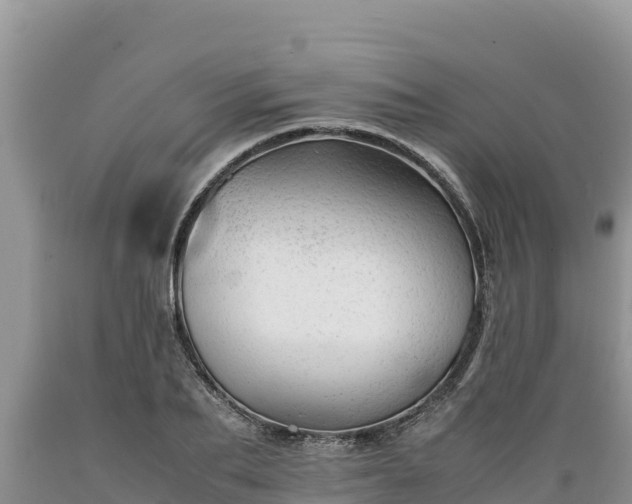 X0000089350887200706221136