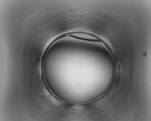 X0000089350888200706221136