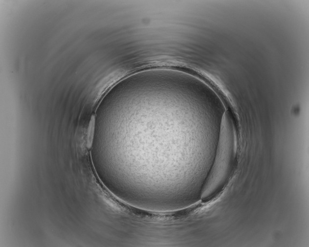 X0000089350889200706221136