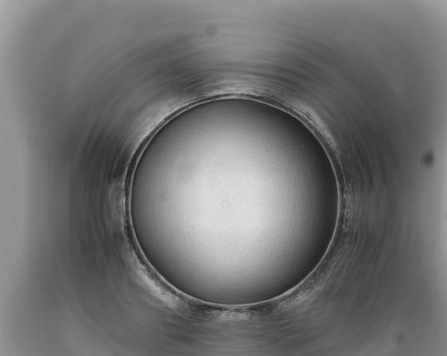 X0000089350890200706221136