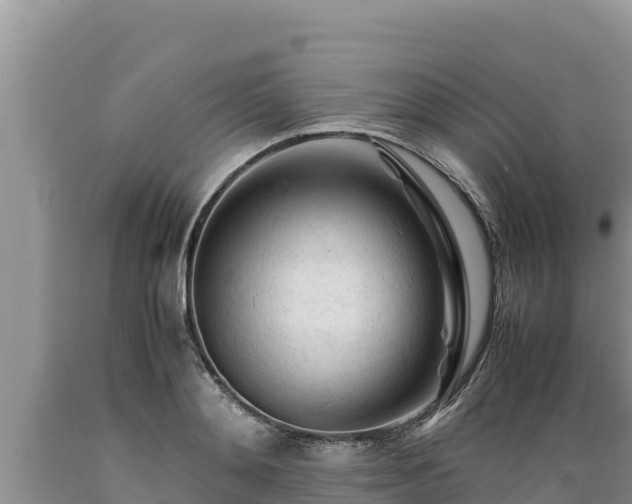 X0000089350892200706221136