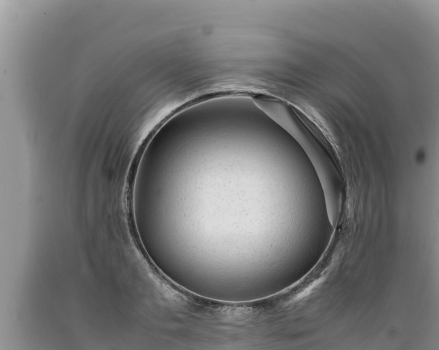 X0000089350893200706221136