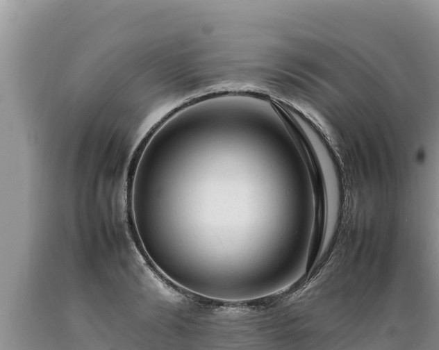 X0000089350894200706221136