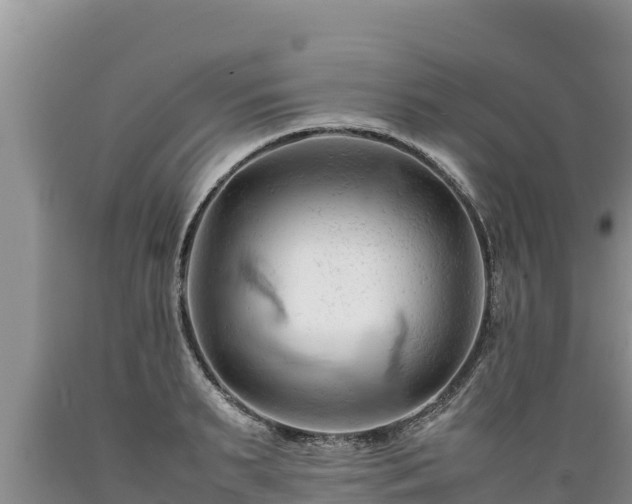 X0000089350895200706221136