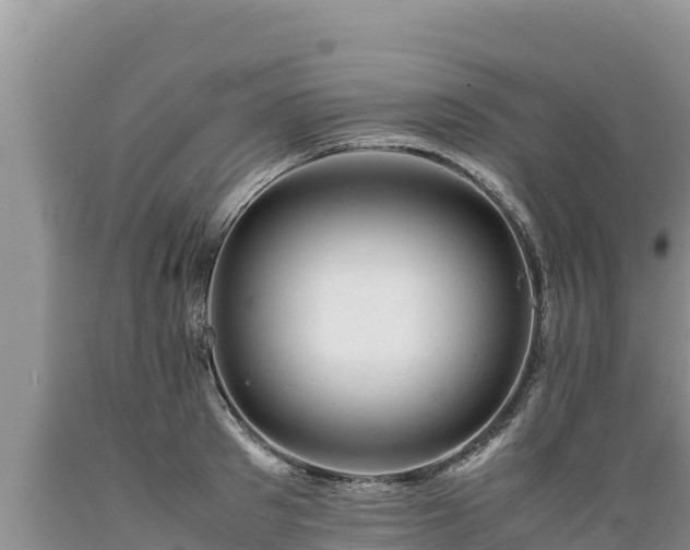X0000089350897200706221136