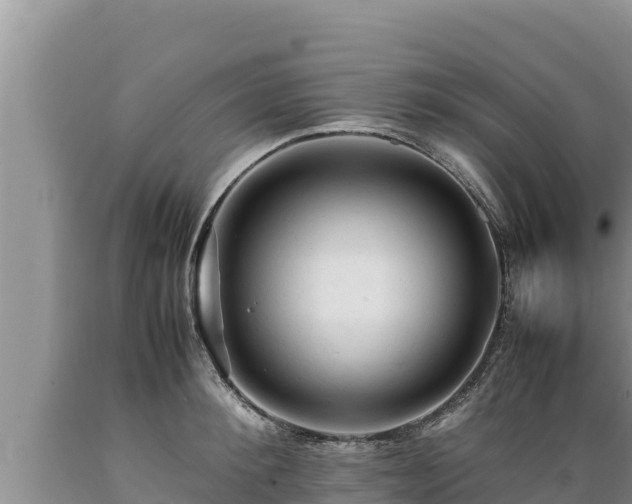 X0000089350900200706221136