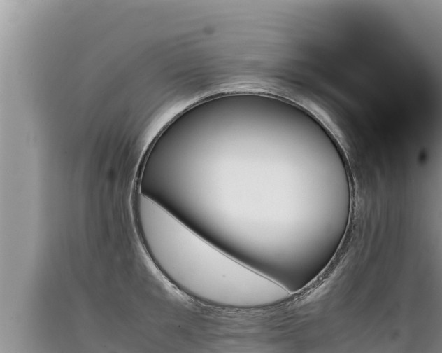 X0000089350901200706221136