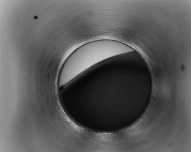 X0000089350902200706221136