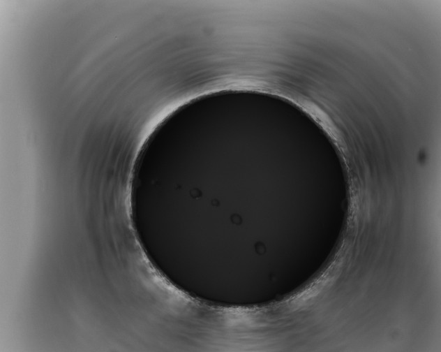 X0000089350904200706221136