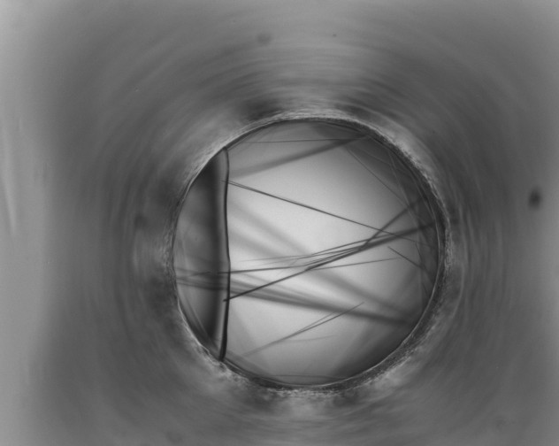 X0000089350905200706221136