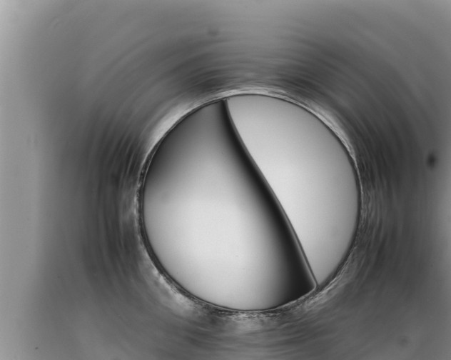 X0000089350906200706221136