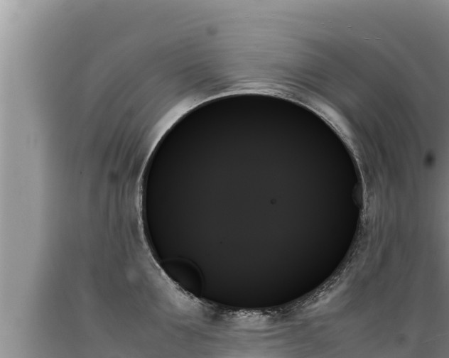 X0000089350907200706221136