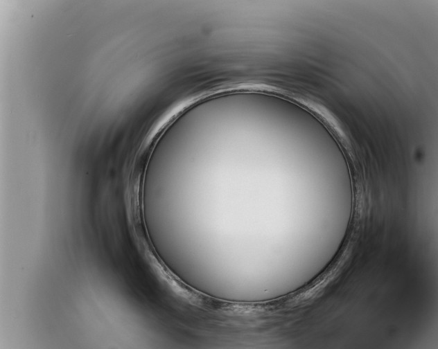 X0000089350910200706221135