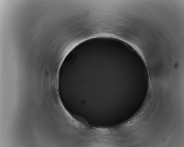 X0000089350911200706221135