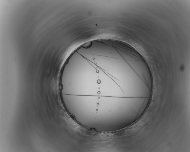 X0000089350912200706221135