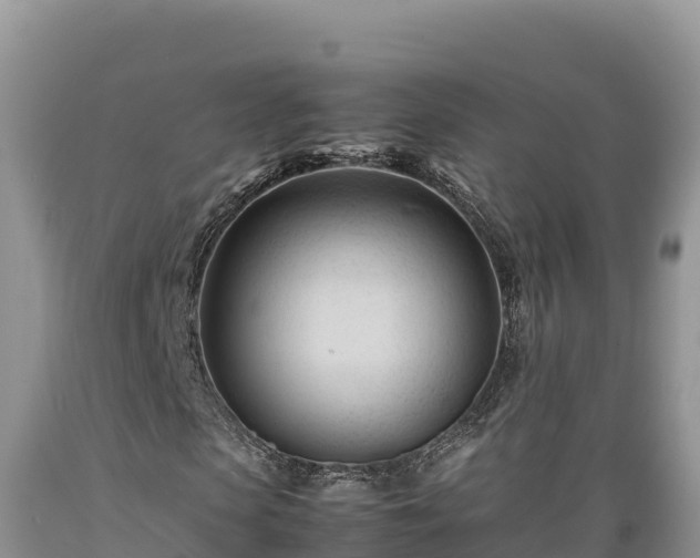 X0000089350913200706221135