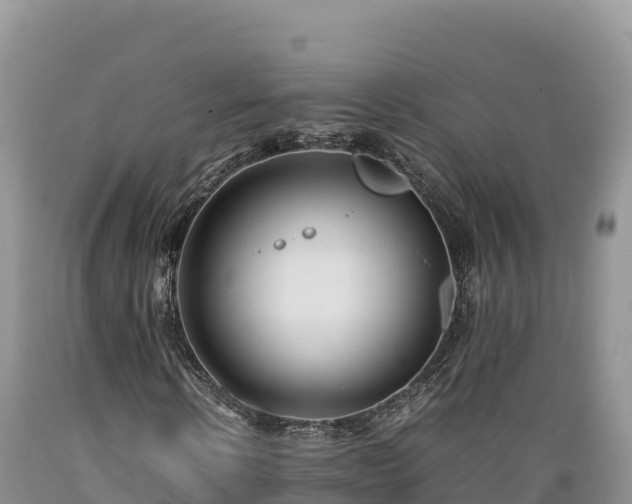 X0000089350914200706221135
