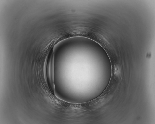 X0000089350915200706221135