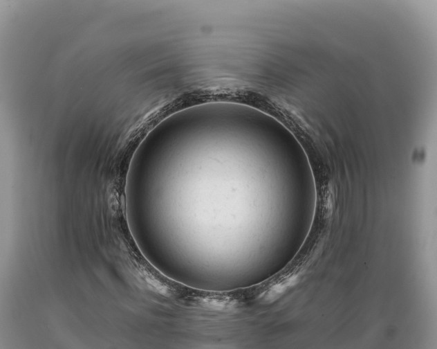 X0000089350916200706221135