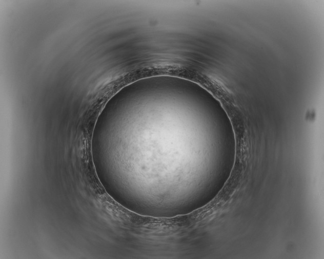 X0000089350917200706221135