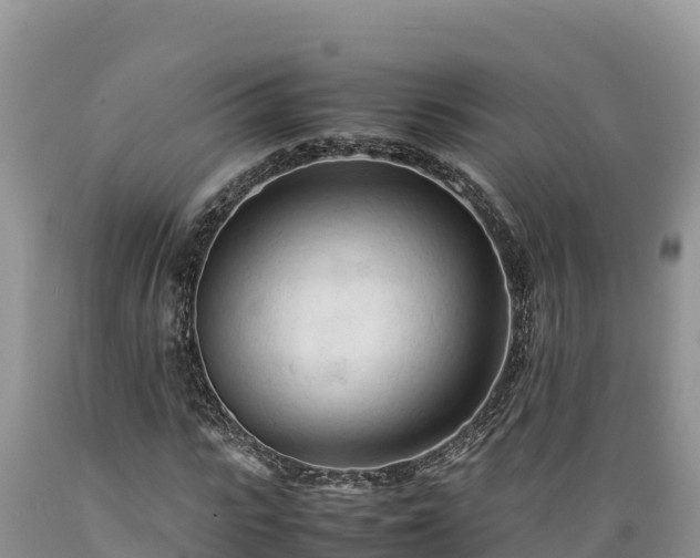 X0000089350919200706221135