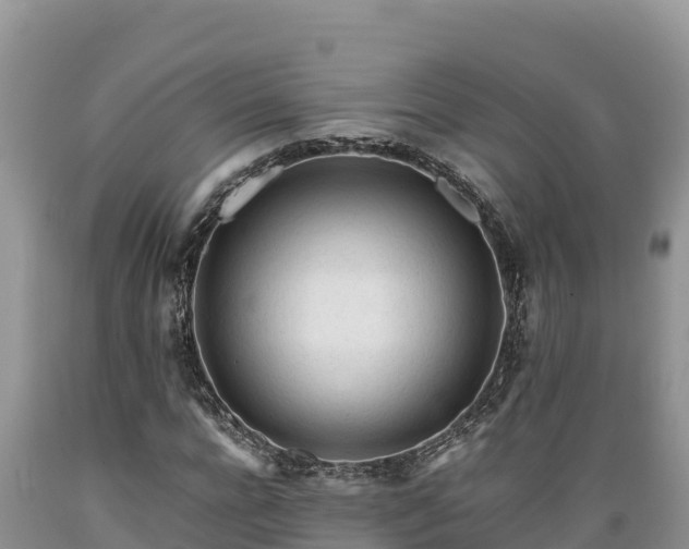 X0000089350920200706221135