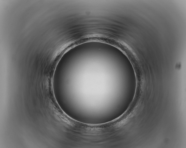 X0000089350921200706221135