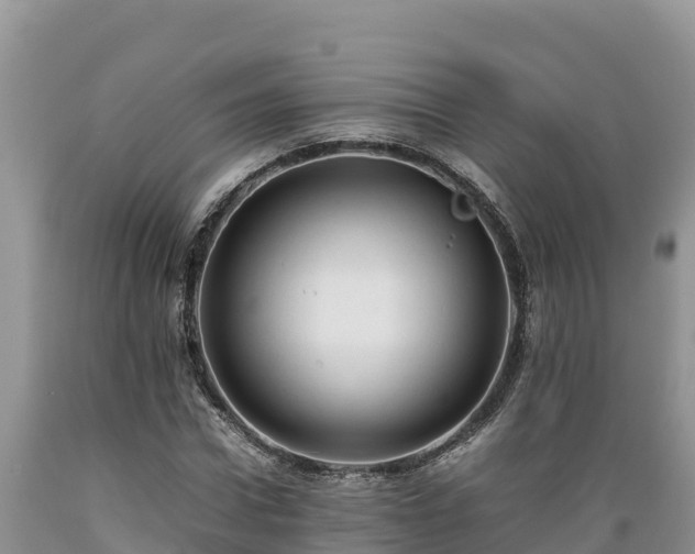 X0000089350922200706221135