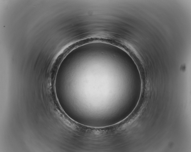 X0000089350923200706221135