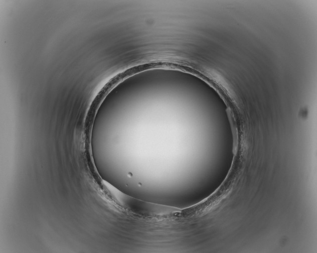 X0000089350924200706221135
