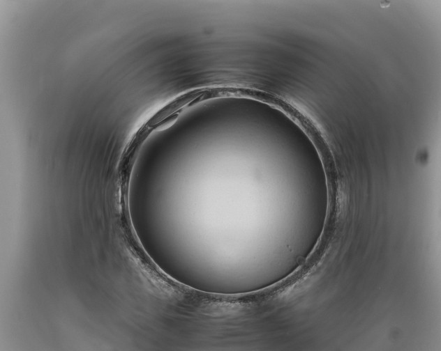 X0000089350925200706221135