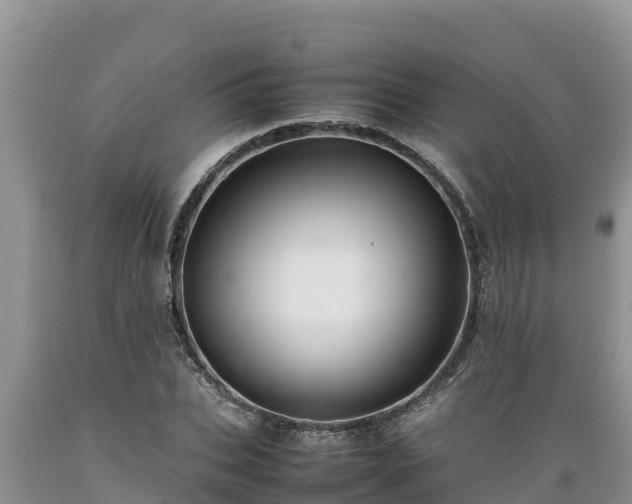 X0000089350927200706221135