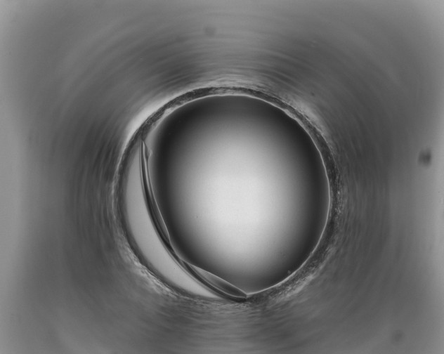 X0000089350928200706221135