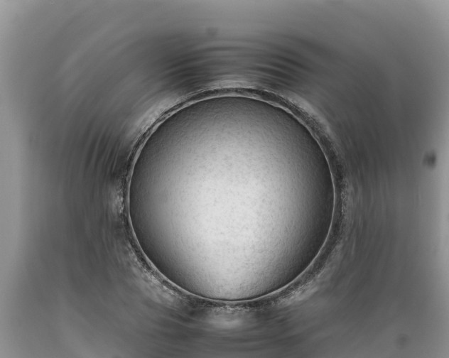 X0000089350929200706221135