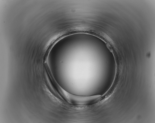 X0000089350930200706221135