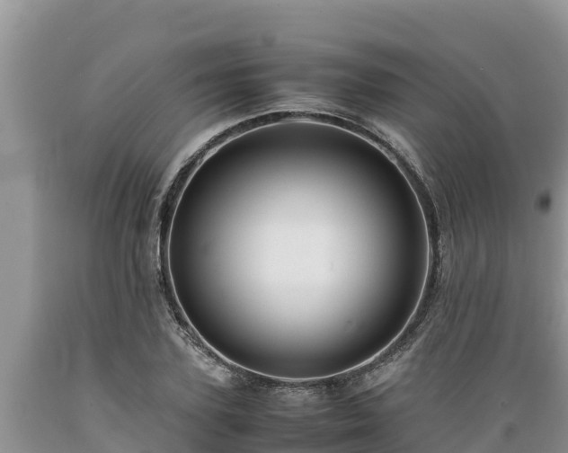 X0000089350931200706221135
