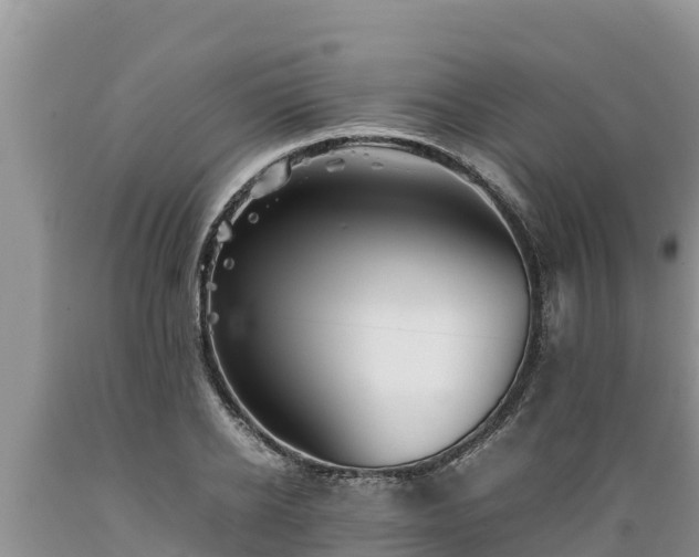 X0000089350934200706221135