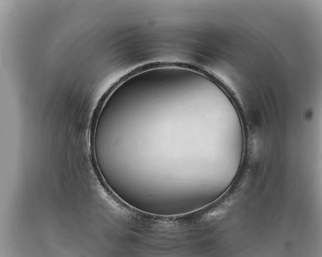 X0000089350935200706221135