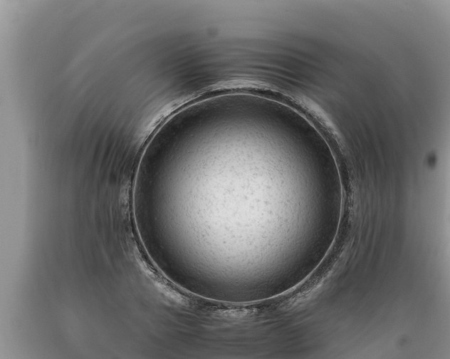 X0000089350937200706221135