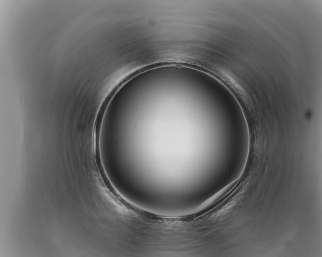 X0000089350940200706221135