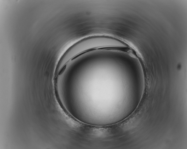 X0000089350943200706221135