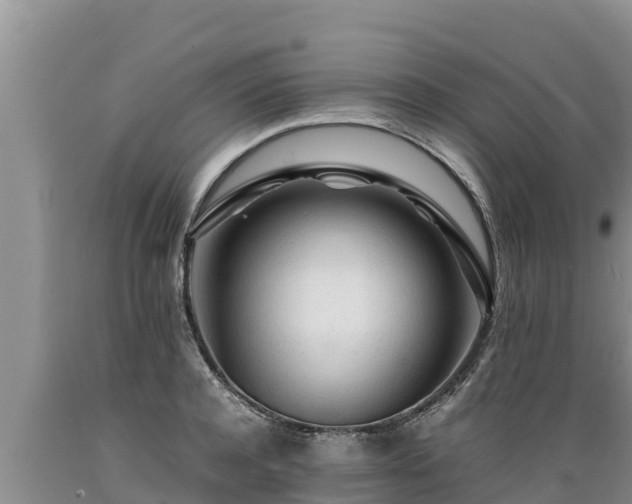 X0000089350944200706221135