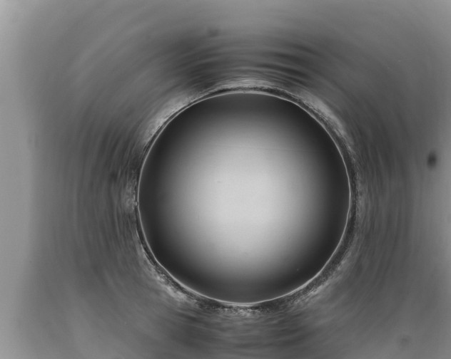 X0000089350945200706221135