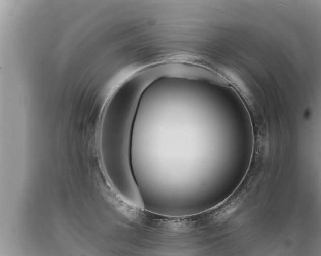 X0000089350948200706221135