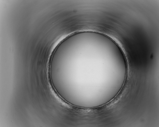 X0000089350949200706221135